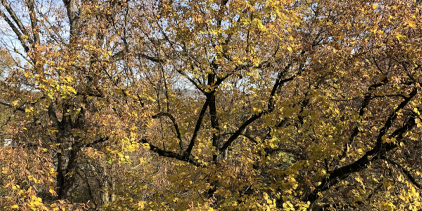 umsonst-ist-der-tod